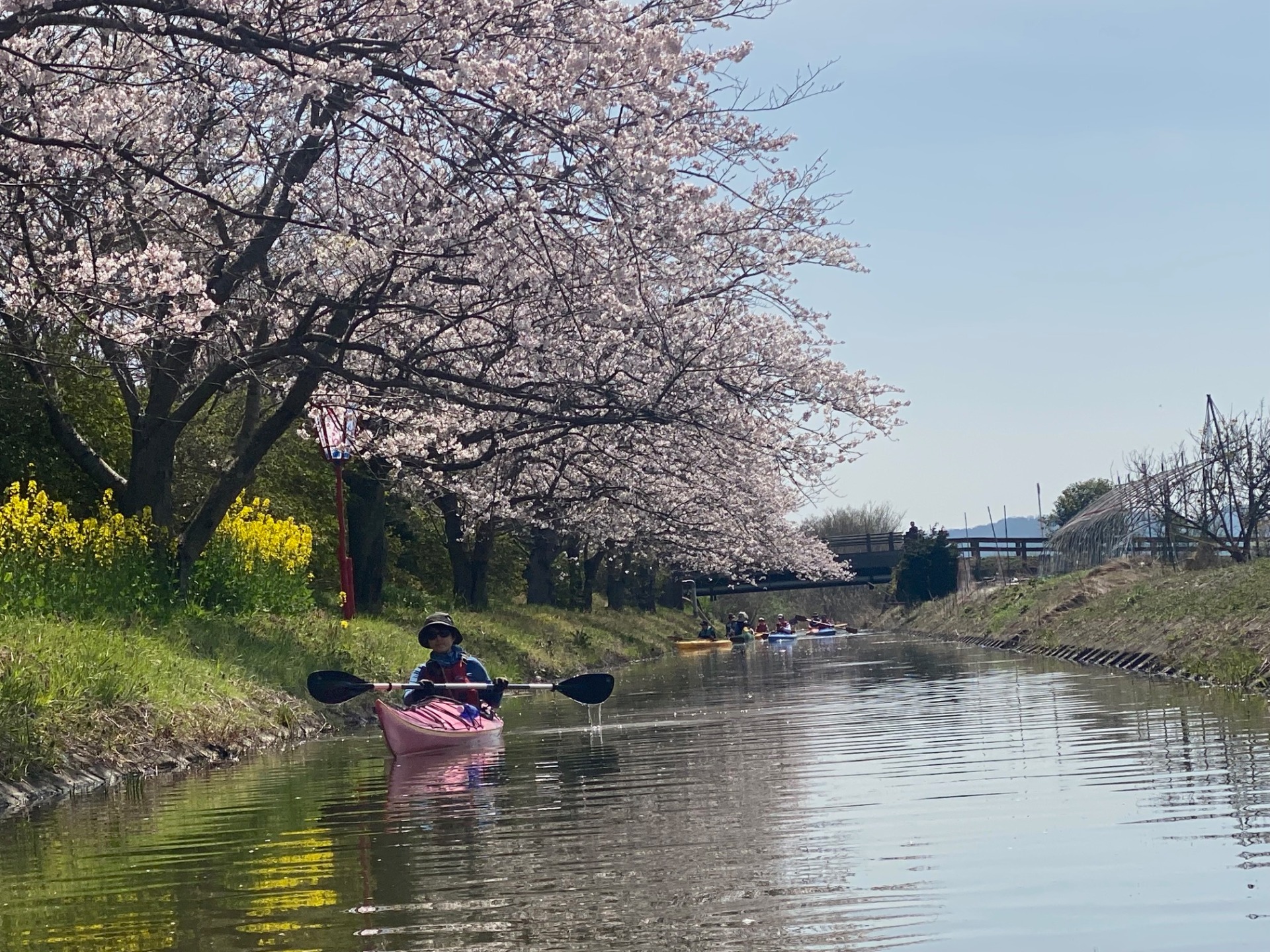 近江八幡　水郷　カヤック