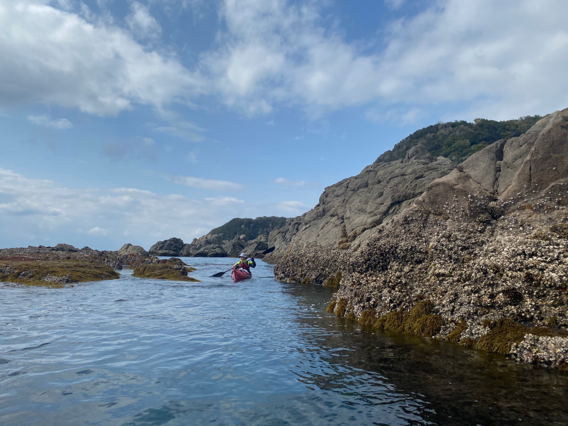 日高海岸シーカヤック