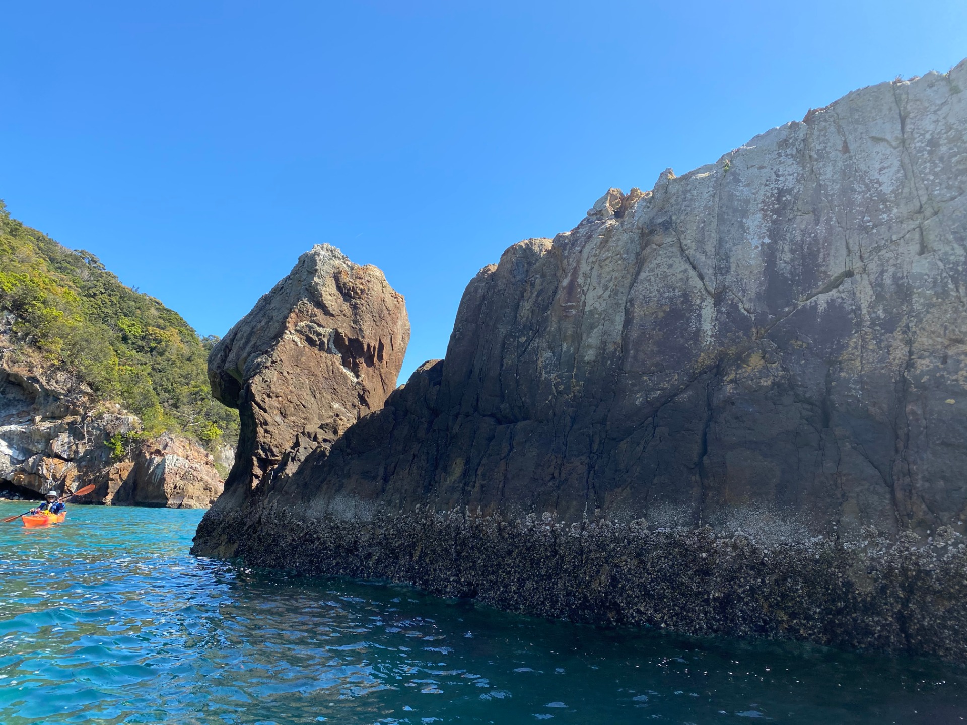 南紀勝浦シーカヤック