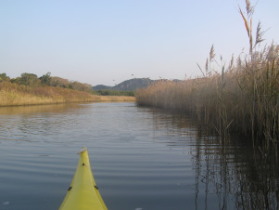 富田川河口のカヤック