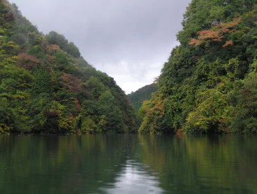 水郷　カヤック